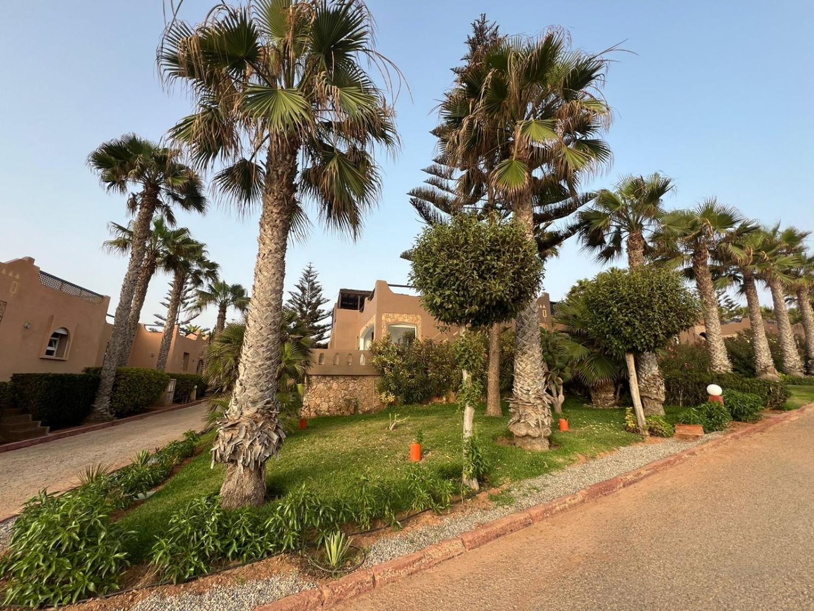 מירלפט Dreamcatcher Homes מראה חיצוני תמונה